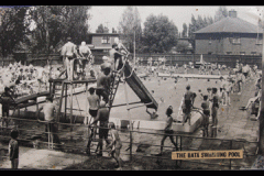 Enjoying summer sun in the swimming pool.