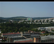 Zlin06g