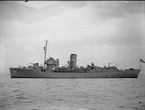 HMS_Picotee