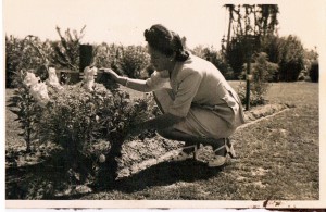 Dorothy Sutcliffe ( Bill Sister) at Bill Grave in Padua Italy