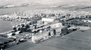 eiag